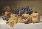 A Still Life with Peaches and Grapes on a Marble Ledge Johann Wilhelm Preyer